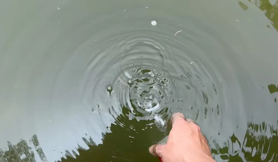 640.webp (2).jpg 640.webp (2).jpg